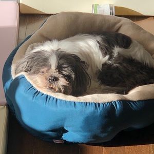 Meet your Posher, Hon kit